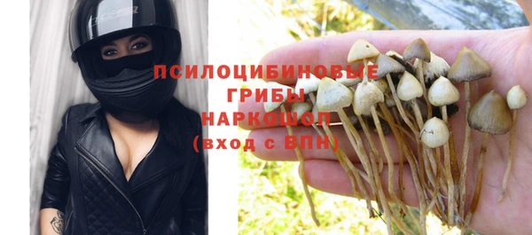 сатива Волоколамск