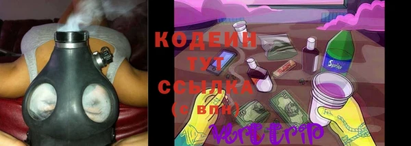 сатива Волоколамск