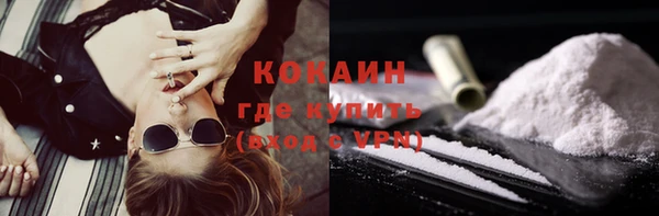 сатива Волоколамск