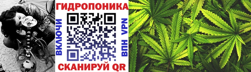 Бошки Шишки Amnesia Назарово